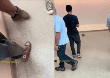 Visitantes de museo confunden un zapato con arte conceptual