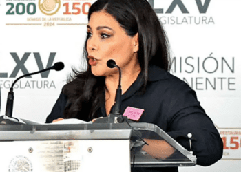 Reforma al Poder Judicial afectaría miles de expedientes abiertos: Rosa Elena Alonso