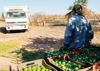 Evalúan estrategia de seguridad en Michoacán