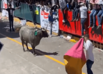 21 lesionados, uno de gravedad, en la Huamantlada 2024