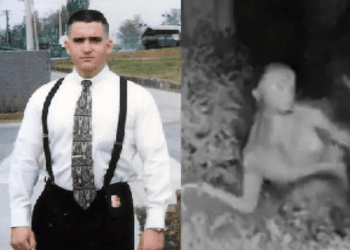 Ex funcionario del Pentágono asegura que EU recuperó especímenes “no humanos”