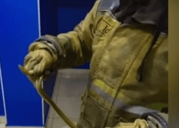 Serpiente se mete a una sala de cine en León, Guanajuato