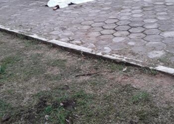 Asesinan a maestra de primaria; su propio hijo