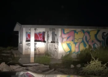 Buscaban terror  y encontraron algo peor