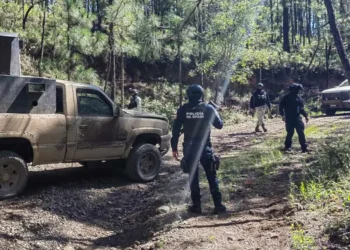 Abaten a dos sicarios y aseguran arsenal en Chihuahua