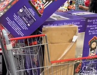 El nuevo producto favorito de revendedores en Costco