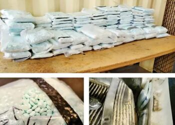 En los últimos cinco meses, se han incautado 442 millones de dosis de fentanilo