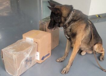 GN intercepta droga en empresa de mensajería