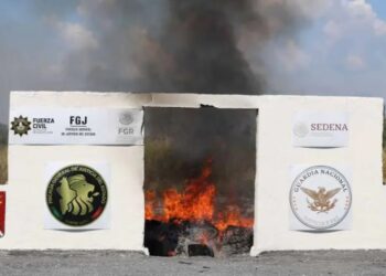 En Nuevo León, se incineraron más de 264 kilos de droga