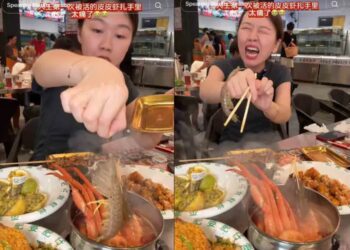 Camarón vivo ataca a influencer durante transmisión en TikTok