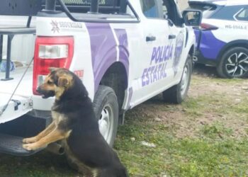 Niña se escondió en la maleza para evitar los golpes de su padre con un cable