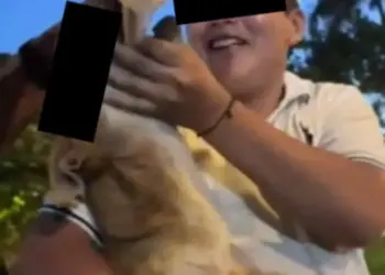 En Yucatán, jóvenes obligan a perro a tomar cerveza; los buscan por maltrato animal