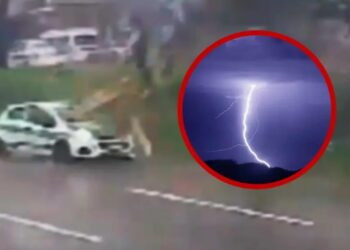 Un rayo tumba un árbol sobre un taxi en Xalapa, dejando dos heridos