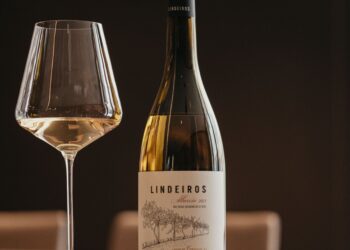 Hombre roba mil 300 botellas de vino en Francia