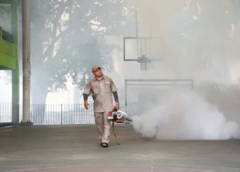 Se registran en México 59 mil casos y 146 muertes por dengue