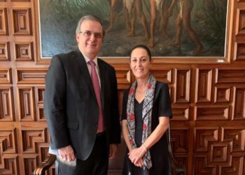 La reforma del “Estado de No Derecho”