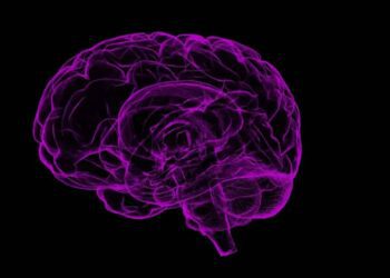 El Alzheimer podría afectar al 8 % de los mexicanos