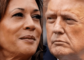 Votantes latinos prefieren a Kamala sobre Trump, revela encuesta