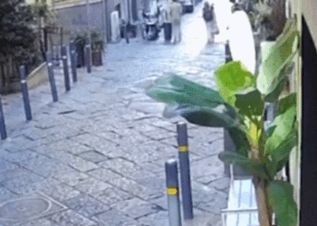 Turista muere al caerle estatua en la cabeza