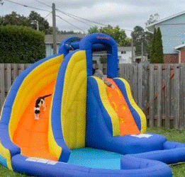 Niño y su gato los mejores amigos en un inflable