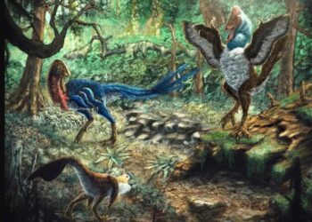 Estudiante halla nueva especie de dinosaurio al comprar fósiles para un proyecto