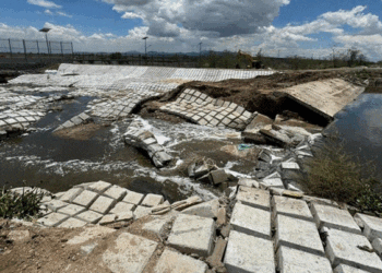 Destituyen a director de construcción del Parque del Lago de Texcoco