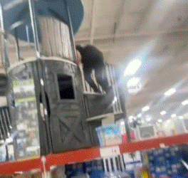 Jóvenes se suben a tobogán en exhibición en tienda