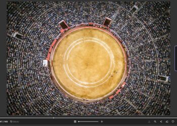 Al toro por los cuernos