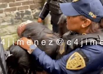 Hieren a policía durante riña en Topilejo, alcaldía Tlalpan