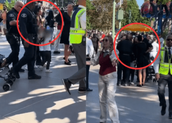 Una mujer fue arrestada frente a sus hijas en Disneyland