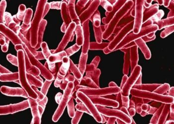 Las muertes por resistencia a antibióticos aumentarán en los próximos 30 años