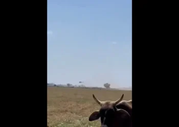 Enfrentamiento entre las Fuerzas Armadas y delincuentes en Sinaloa