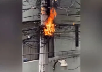 Ardilla se electrocuta y causa corto en Benito Juárez