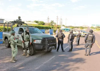 Narcoescoltas en Sinaloa: dispuestos a arriesgar su vida por proteger a sus jefes