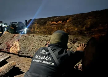 Clausuran aserradero ilegal en Tlalpan