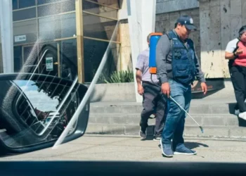 Facultad de Derecho en UASLP,  infestada de chinches