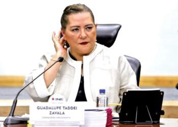 Buscan mayor poder para Guadalupe Taddei en el INE