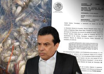 Continúa crisis de servicios en Ciudad Victoria; brotan gusanos de coladeras