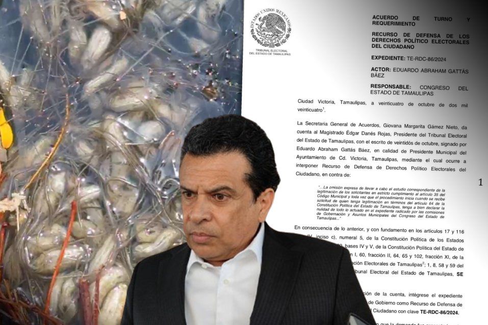 Continúa crisis de servicios en Ciudad Victoria; brotan gusanos de coladeras