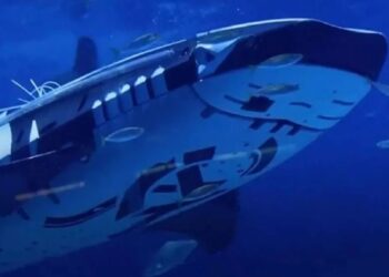 Acuario en China indigna al mostrar un tiburón ballena robot