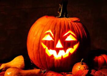 El alarmante desperdicio de calabazas en Halloween