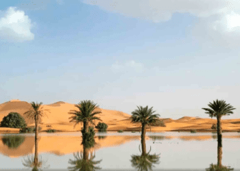 Por primera vez en más de 50 años, las lluvias inundan el desierto del Sahara