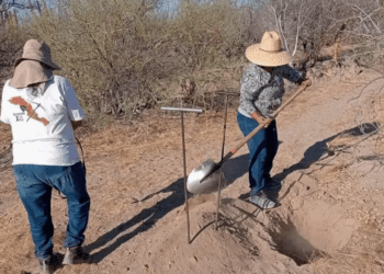 Encuentran 5 fosas clandestinas y 8 osamentas en BCS