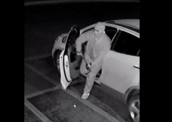 Poncho De Nigris denuncia robo a su negocio, los internautas no le creen