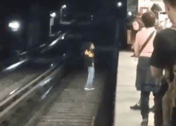 Hombre baja a las vías de la estación Zócalo y se queda paralizado