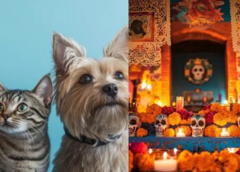 ¿Cuándo regresan las almas de las mascotas fallecidas?