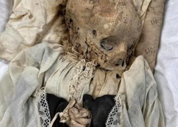 Momias y osamentas se conservan en el sótano del Museo de Antropología