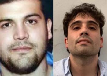 Liberan a Joaquín Guzmán López