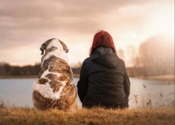 Perros están entrando en una nueva fase evolutiva, según científicos