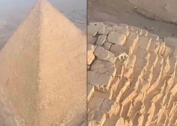 Perrito sorprende en la cima de la Pirámide de Giza